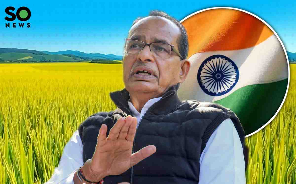 India Overtakes China to Become the World’s Largest Rice Producer in 2025